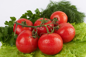 Fresh tomatoes.