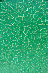 Green background and spiderweb