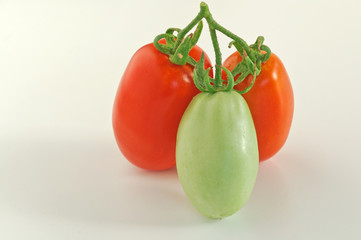 Pomodori