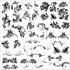 Rococo Flourish Elements Designs Collection