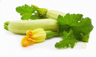 Flowers, leaves and vegetable marrow fruits isolated