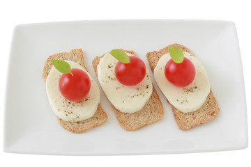 Toasts with cheese mozzarella and tomatos