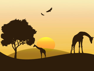 Fototapeta na wymiar Ilustração - girafas a pastar na savana africana