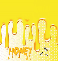 Honey background with honeycomb, bee, wax.