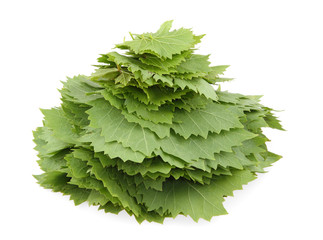 stack of grape leaves isolated on white