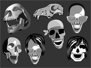 Set Of Skulls Illustration