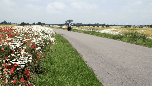 radfahren auf Fehmarn