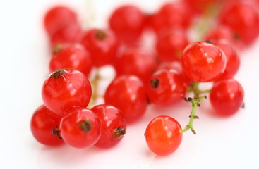 Isolated fruits - Red Currant