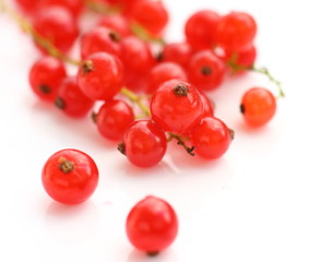 Isolated fruits - Red Currant