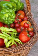 Basket of vegetables - Cesto di ortaggi