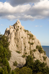 Cliff and trees on small island