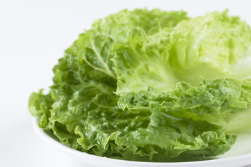 Lettuce leaves