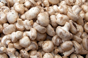 mushrooms