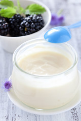 frisches Cremedessert
