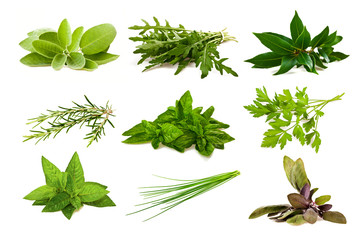 Mix aromatic herbs - obrazy, fototapety, plakaty