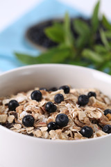 Granola with fresh wild blueberries