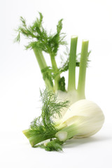 Fennel
