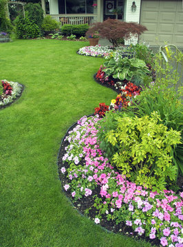 Manicured Yard