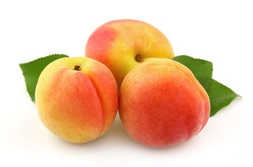 Fototapeta na wymiar Sweet apricots