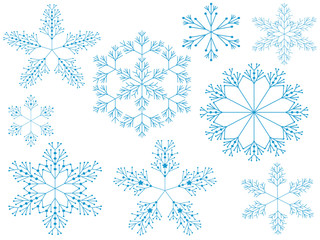Fototapeta premium Snowflakes