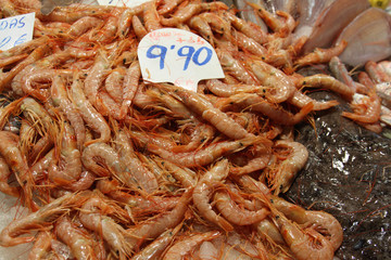 prawns