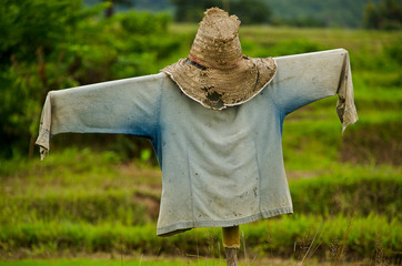 Thai Scarecrow