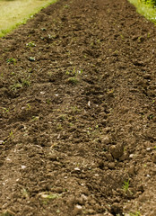 Track of soil