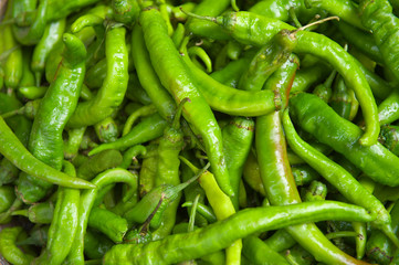 Green pepper