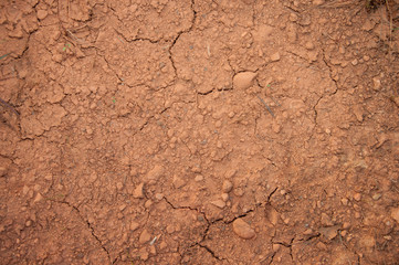 cracked soil