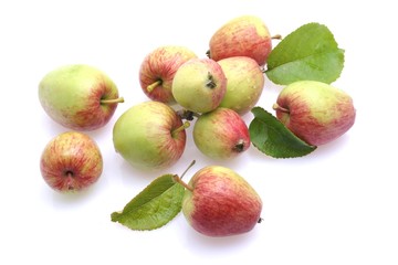 Viezäpfel
