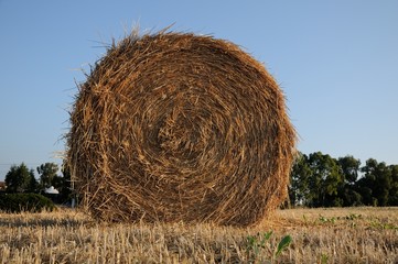 fields and bales of hay
