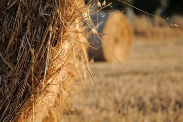 a detail of hay bale in country sunset
