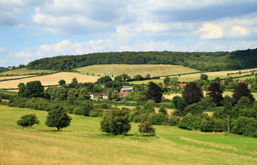 Fototapeta na wymiar A Rural Landscape in the Chiltern Hills, England