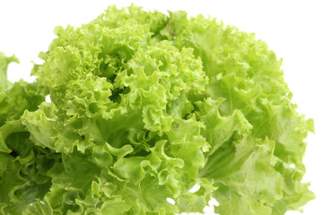 lettuce close up isolated in white background