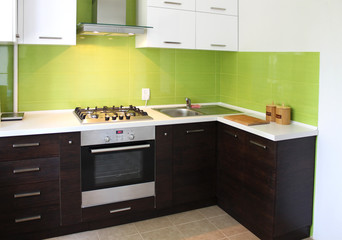 Domestic Kitchen interior, design