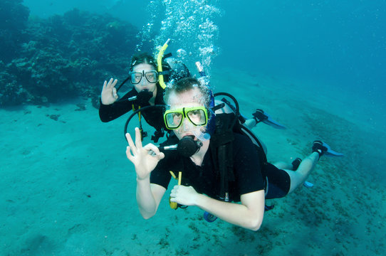 Scuba divers enjoy a dive in the red sea