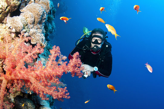 Scuba diver with fish and coral