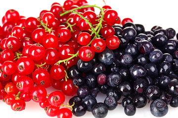 beautiful red currant and blueberry isolated on white