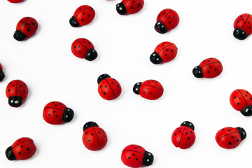 A group of ladybirds