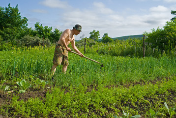 Man with Hoe 11