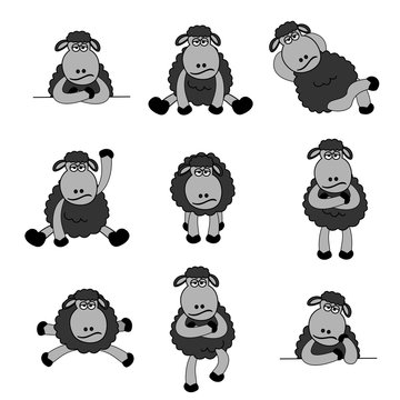 Cute Black Sheep Set
