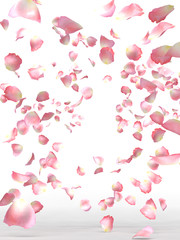 Naklejki  BlossomShower_obraz