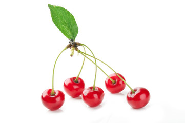 red fresh cherry and leaf
