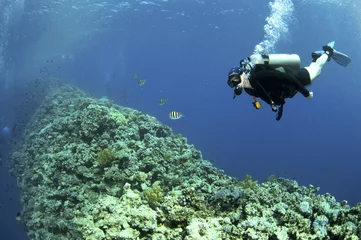 Fotobehang scuba diver swim over coral reef © JonMilnes