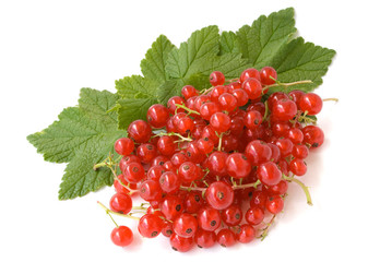 redcurrant