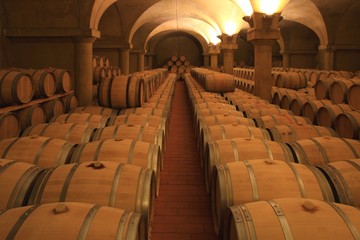 Weinkeller Barrique Rotwein Holzfässer Piemont, Italien - 33937118