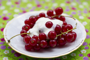 Johannisbeeren