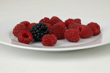 Eine Brombeere unter Himbeeren