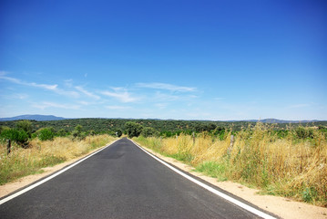 Country road at Portugal, Alentejo region.