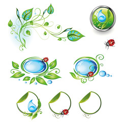 Bio, Eco, Button, Ranke, flora, Bl&auml;tter, &Ouml;ko, vector set